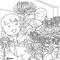 菊祭りで菊の鉢を持つ女の子のイラスト(ぬりえ) 菊祭りで菊の鉢を持つ女の子のイラスト(ぬりえ)