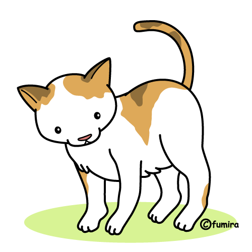 猫のイラスト カラー 子供と動物のイラスト屋さん わたなべふみ