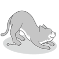 灰色猫（モノクロ）