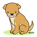 柴犬(カラー)