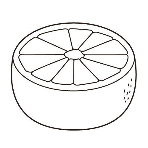 グレープフルーツ カラー モノクロ ぬりえ