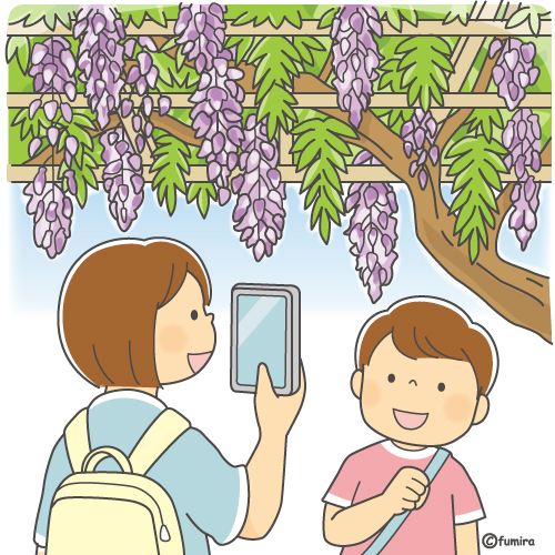 藤棚の藤の花と写真を撮る子どもたちのイラスト（カラー）
