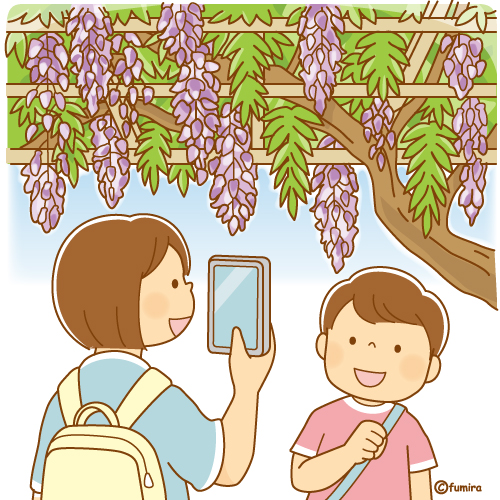 藤棚の藤の花と写真を撮る子どもたちのイラスト（ソフト）