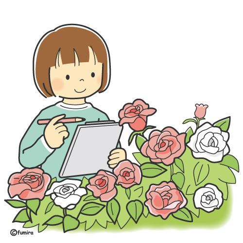 バラの観察をする女の子のイラスト（カラー）