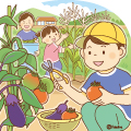 畑で夏野菜の収穫をする子どもたちのイラスト