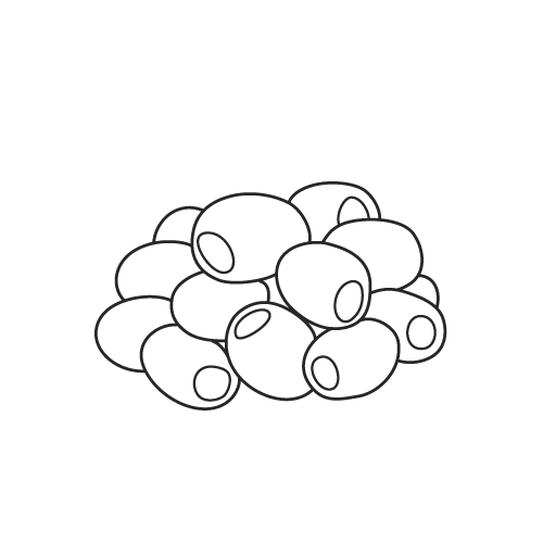 オリーブのイラスト